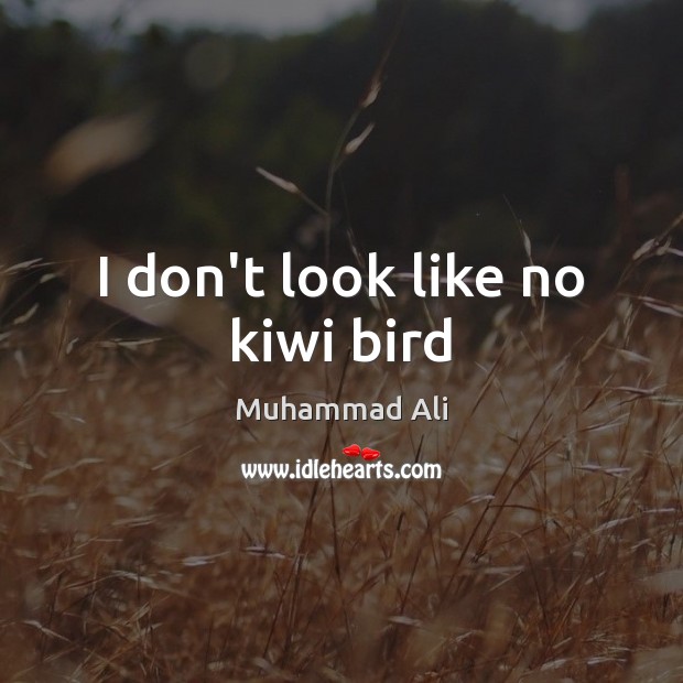 I don’t look like no kiwi bird Image