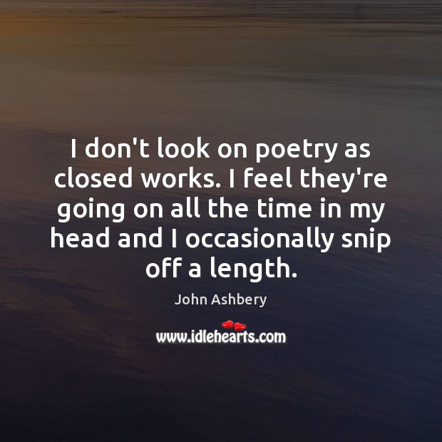 I don’t look on poetry as closed works. I feel they’re going John Ashbery Picture Quote