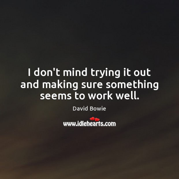 I don’t mind trying it out and making sure something seems to work well. David Bowie Picture Quote