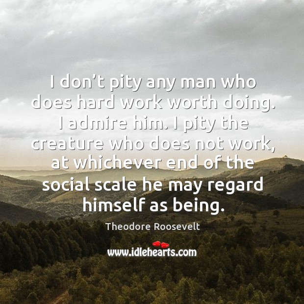 I don’t pity any man who does hard work worth doing. I admire him. Theodore Roosevelt Picture Quote