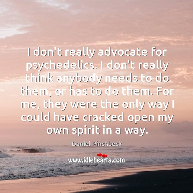 I don’t really advocate for psychedelics. I don’t really think anybody needs Daniel Pinchbeck Picture Quote