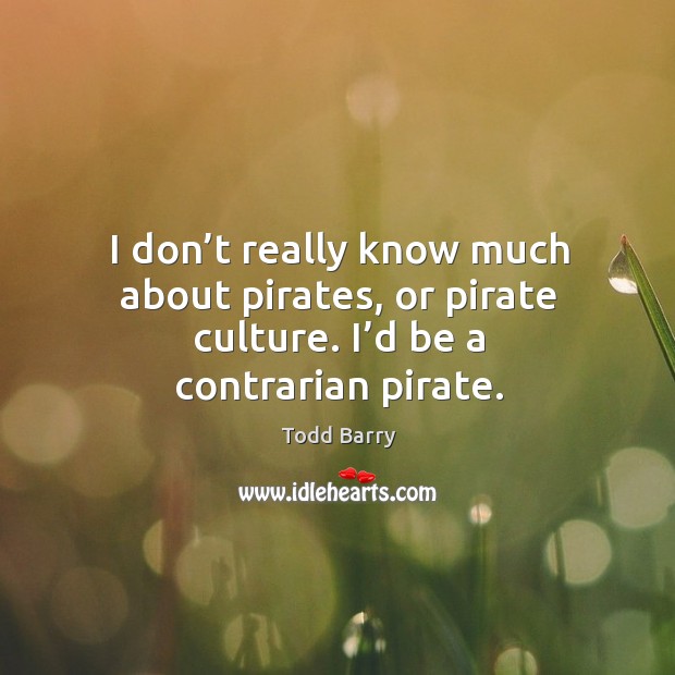 I don’t really know much about pirates, or pirate culture. I’d be a contrarian pirate. Todd Barry Picture Quote