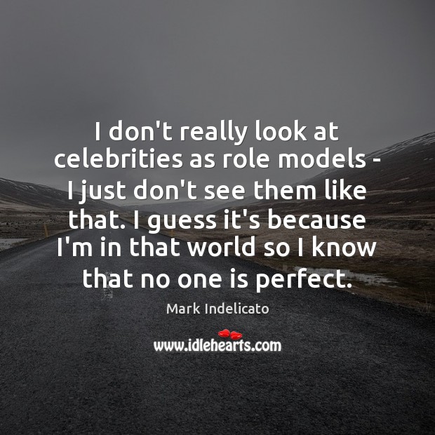 I don’t really look at celebrities as role models – I just Mark Indelicato Picture Quote