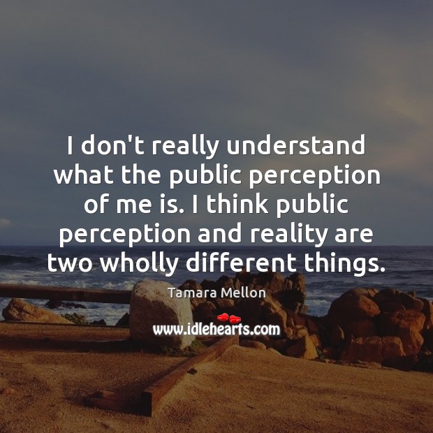 I don’t really understand what the public perception of me is. I Tamara Mellon Picture Quote
