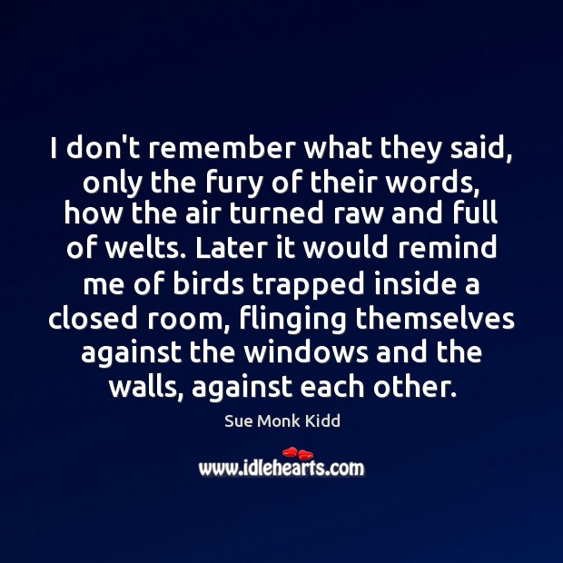 I don’t remember what they said, only the fury of their words, Sue Monk Kidd Picture Quote