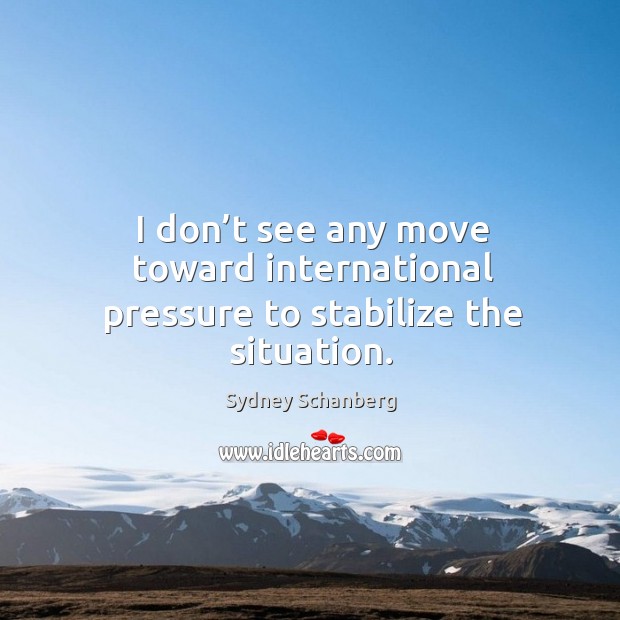 I don’t see any move toward international pressure to stabilize the situation. Sydney Schanberg Picture Quote