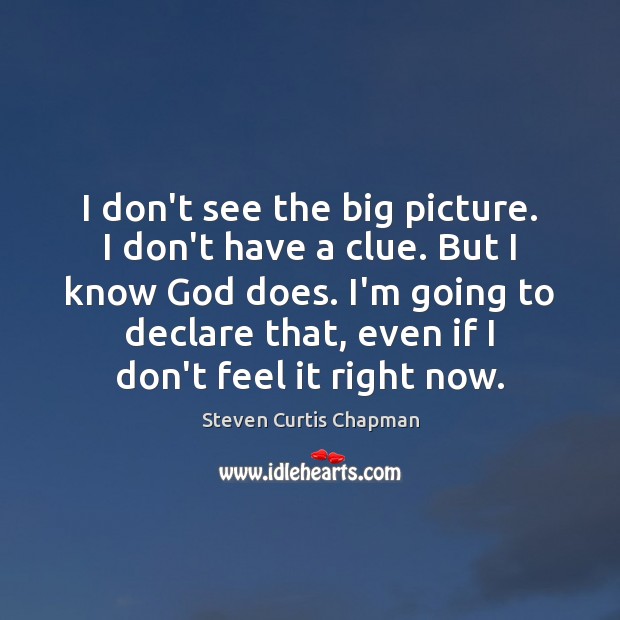 I don’t see the big picture. I don’t have a clue. But Steven Curtis Chapman Picture Quote