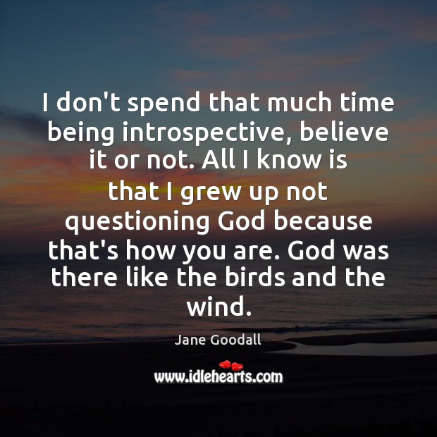 I don’t spend that much time being introspective, believe it or not. Jane Goodall Picture Quote
