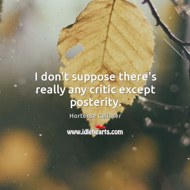 I don’t suppose there’s really any critic except posterity. Hortense Calisher Picture Quote