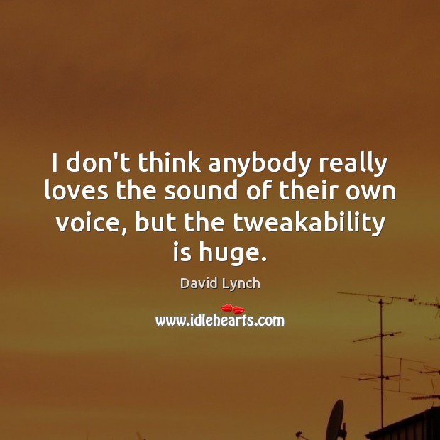 I don’t think anybody really loves the sound of their own voice, David Lynch Picture Quote