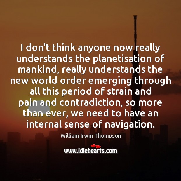 I don’t think anyone now really understands the planetisation of mankind, really William Irwin Thompson Picture Quote