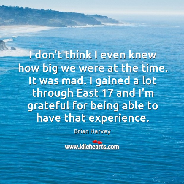 I don’t think I even knew how big we were at the time. It was mad. Brian Harvey Picture Quote