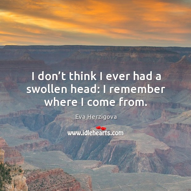 I don’t think I ever had a swollen head: I remember where I come from. Eva Herzigova Picture Quote