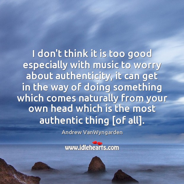 I don’t think it is too good especially with music to worry Andrew VanWyngarden Picture Quote