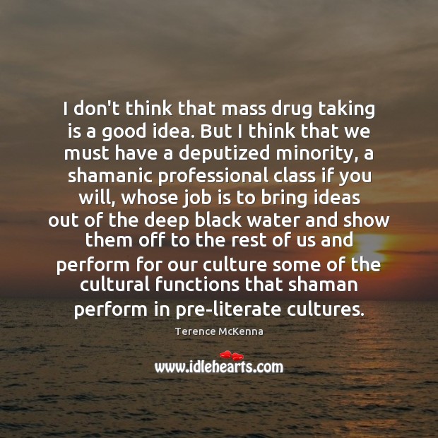 I don’t think that mass drug taking is a good idea. But Terence McKenna Picture Quote