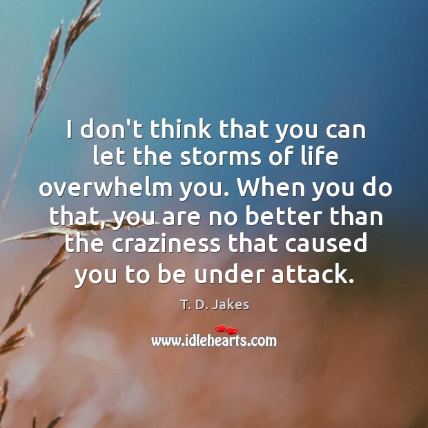 I don’t think that you can let the storms of life overwhelm T. D. Jakes Picture Quote