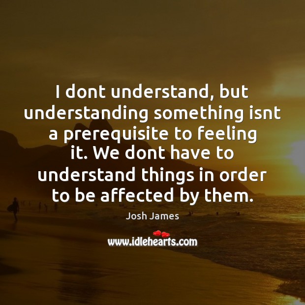 I dont understand, but understanding something isnt a prerequisite to feeling it. Josh James Picture Quote