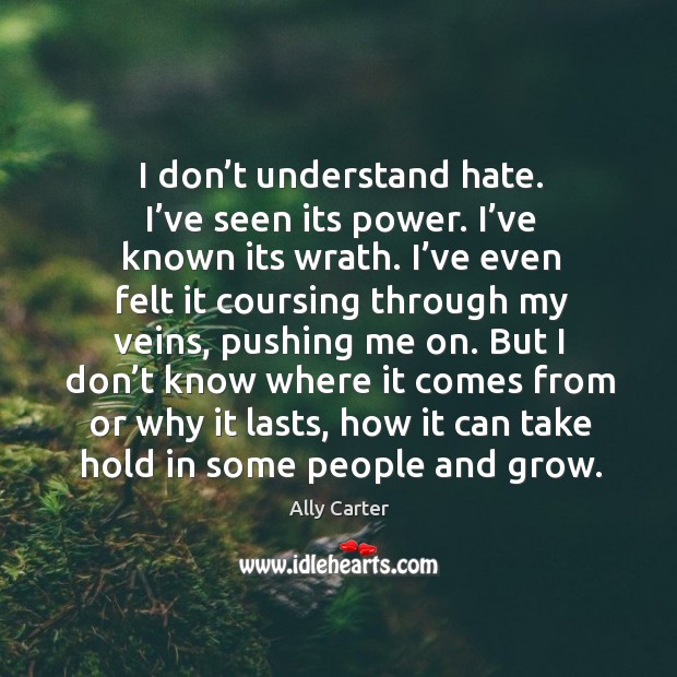 I don’t understand hate. I’ve seen its power. I’ve Ally Carter Picture Quote