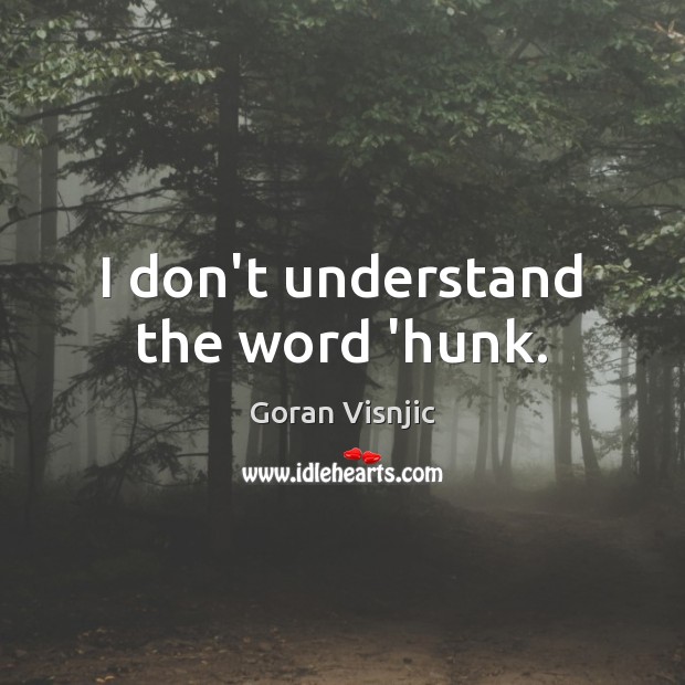 I don’t understand the word ‘hunk. Goran Visnjic Picture Quote