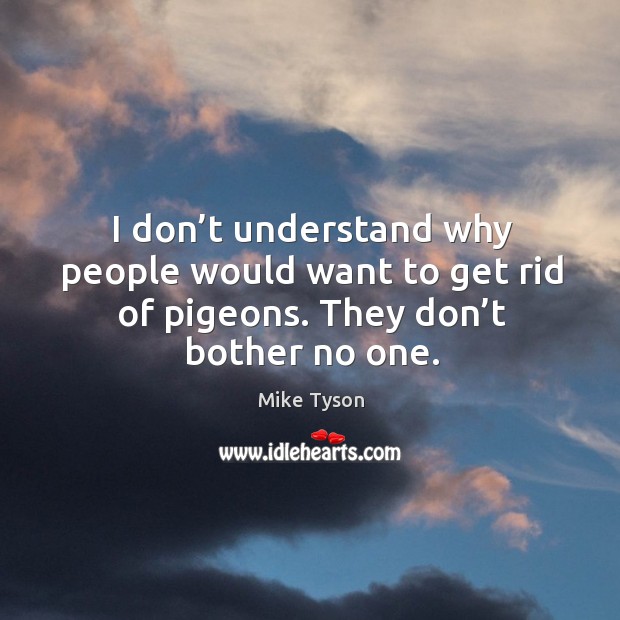 I don’t understand why people would want to get rid of pigeons. They don’t bother no one. Mike Tyson Picture Quote