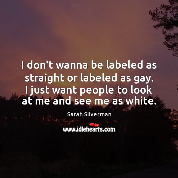 I don’t wanna be labeled as straight or labeled as gay. I Sarah Silverman Picture Quote