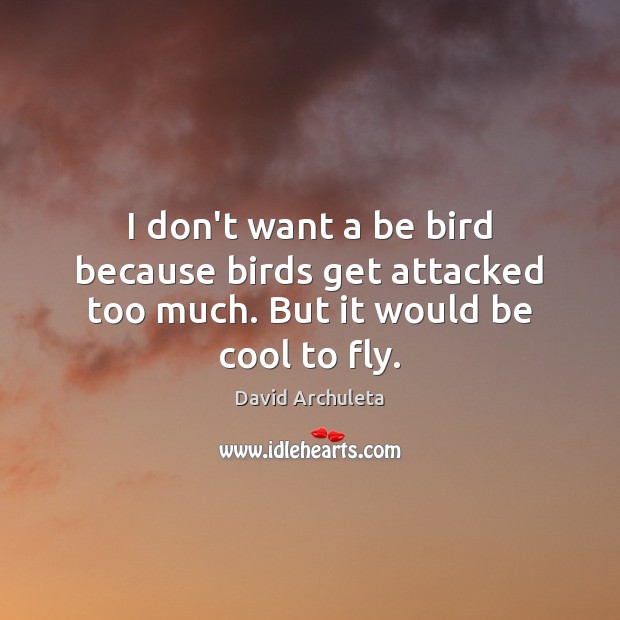 I don’t want a be bird because birds get attacked too much. But it would be cool to fly. David Archuleta Picture Quote
