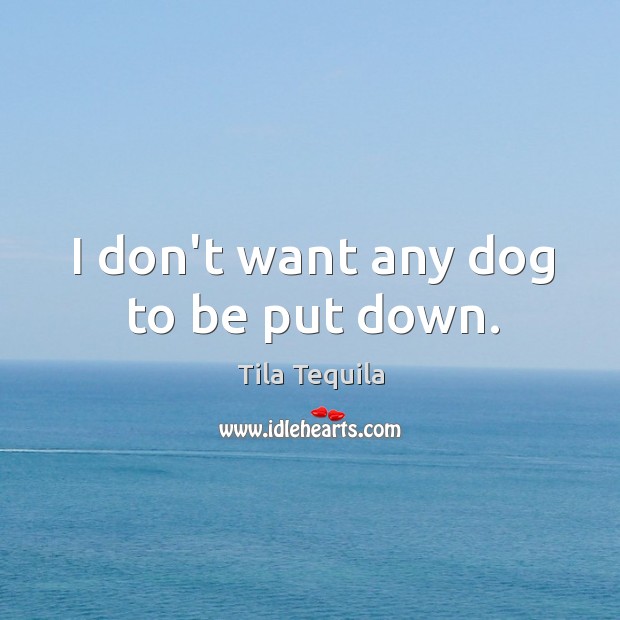 I don’t want any dog to be put down. Tila Tequila Picture Quote