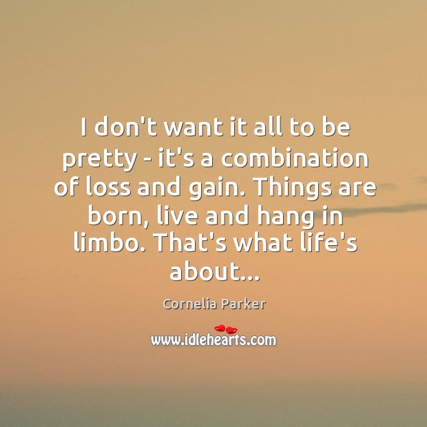 I don’t want it all to be pretty – it’s a combination Cornelia Parker Picture Quote