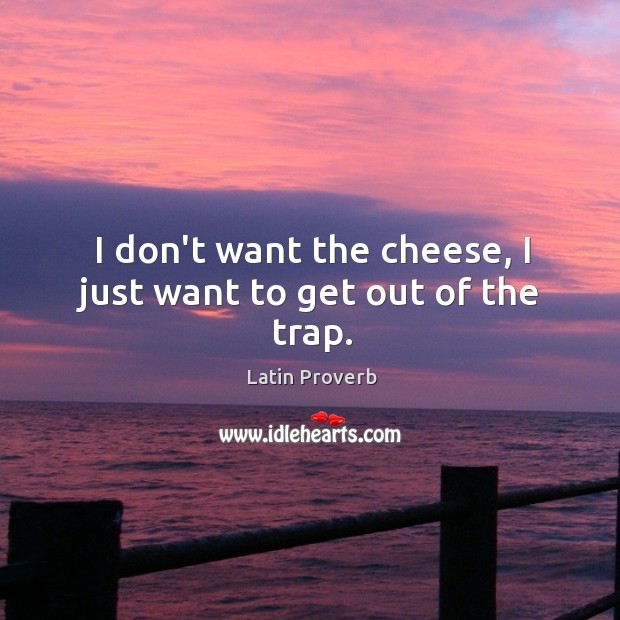 I don’t want the cheese, I just want to get out of the trap. Latin Proverbs Image