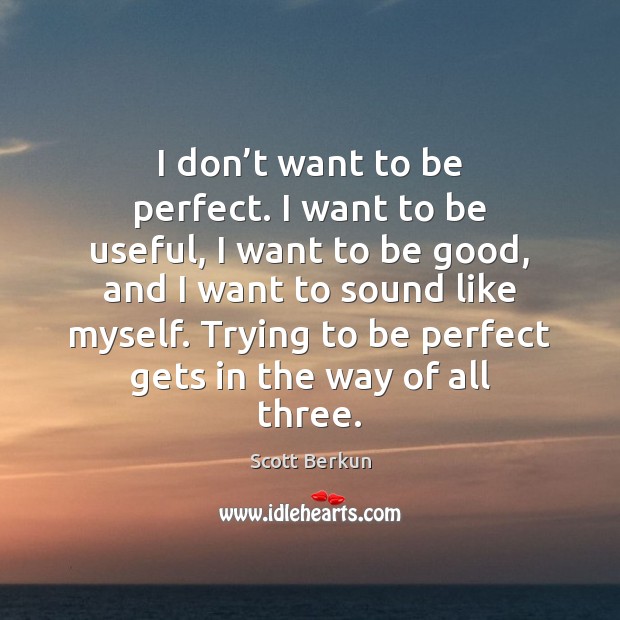 I don’t want to be perfect. I want to be useful, Scott Berkun Picture Quote