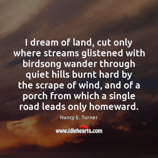 I dream of land, cut only where streams glistened with birdsong wander Nancy E. Turner Picture Quote