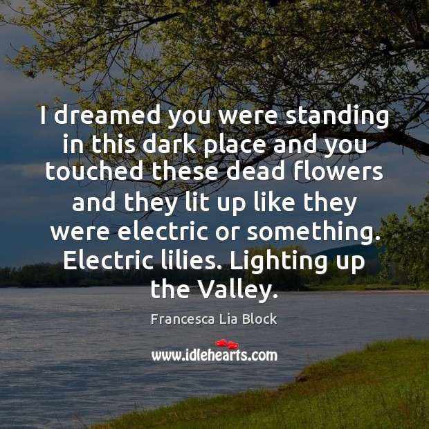 I dreamed you were standing in this dark place and you touched Francesca Lia Block Picture Quote