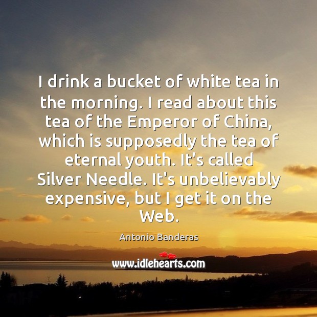 I drink a bucket of white tea in the morning. I read Antonio Banderas Picture Quote