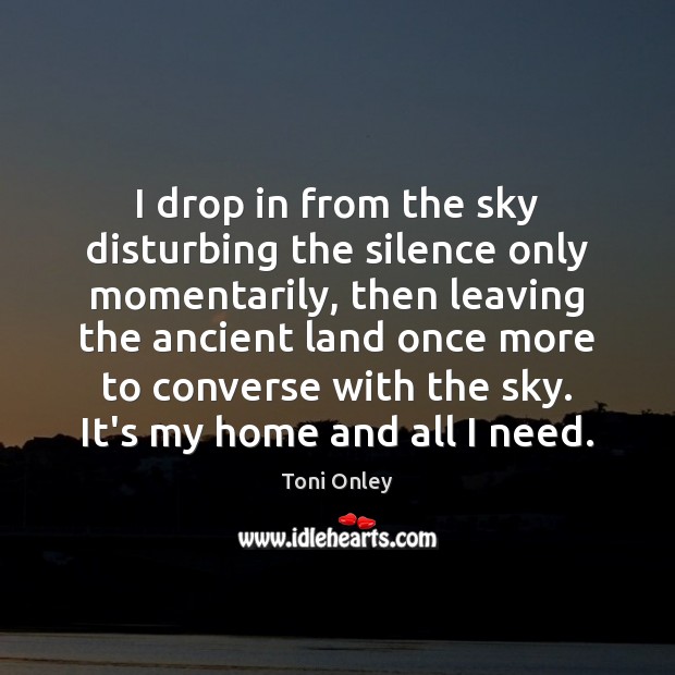I drop in from the sky disturbing the silence only momentarily, then Toni Onley Picture Quote