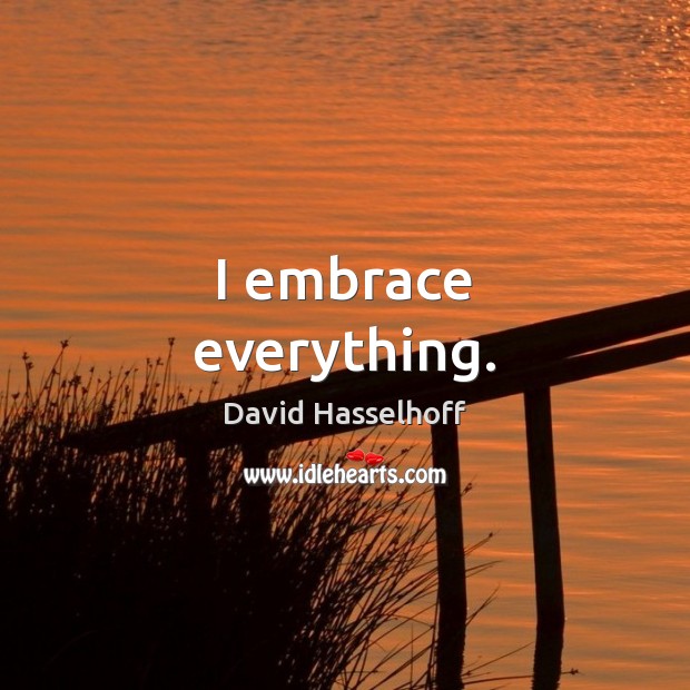 I embrace everything. David Hasselhoff Picture Quote