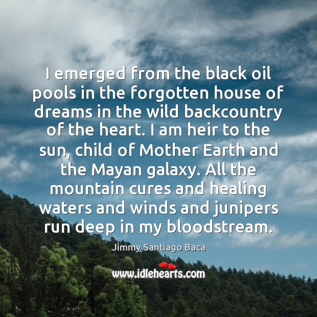 I emerged from the black oil pools in the forgotten house of Jimmy Santiago Baca Picture Quote