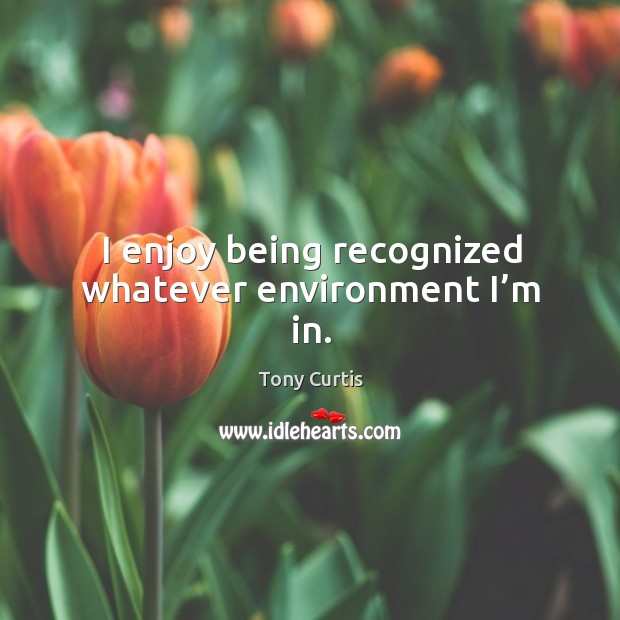 I enjoy being recognized whatever environment I’m in. Tony Curtis Picture Quote