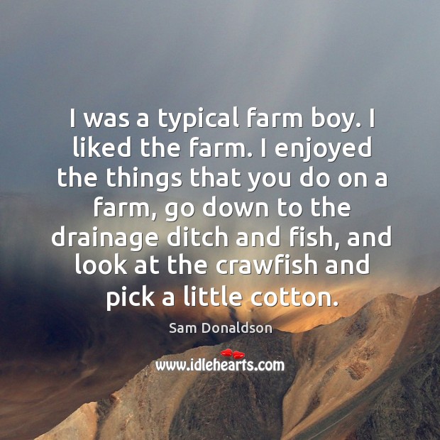 I enjoyed the things that you do on a farm, go down to the drainage ditch and fish Sam Donaldson Picture Quote