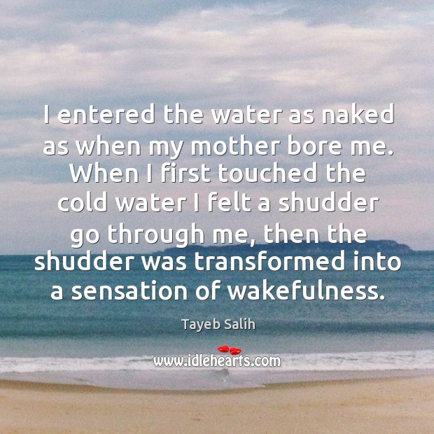 I entered the water as naked as when my mother bore me. Tayeb Salih Picture Quote