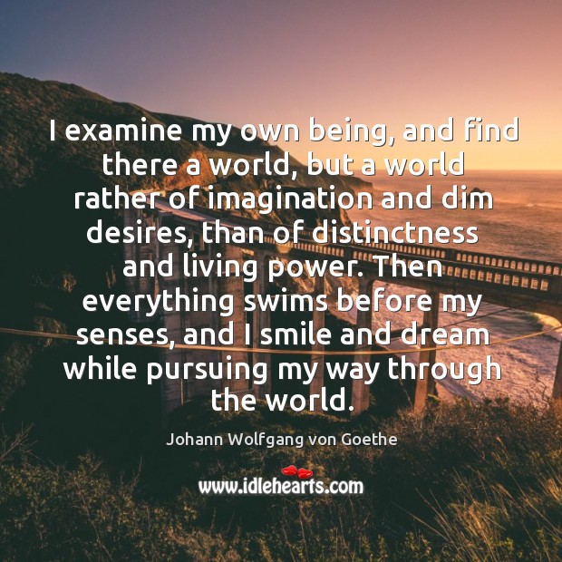 I examine my own being, and find there a world, but a Image
