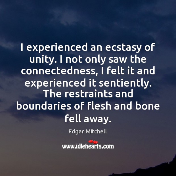 I experienced an ecstasy of unity. I not only saw the connectedness, Image