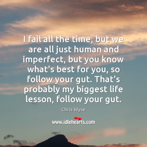 I fail all the time, but we are all just human and Chris Wyse Picture Quote