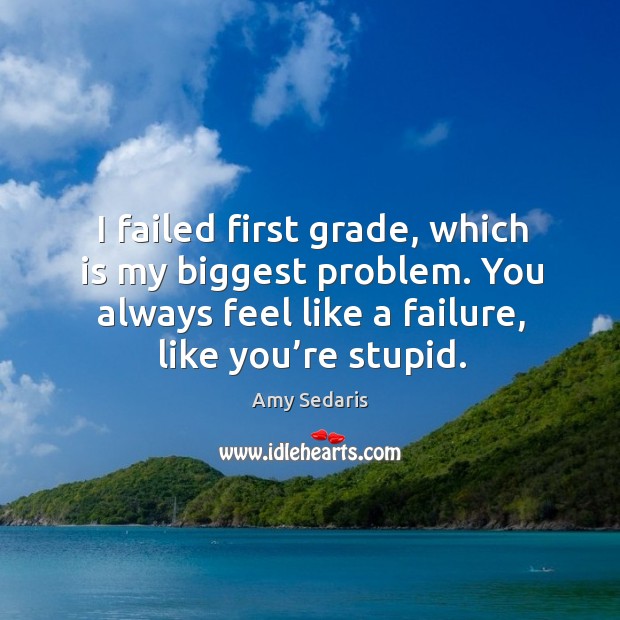 I failed first grade, which is my biggest problem. You always feel like a failure, like you’re stupid. Amy Sedaris Picture Quote