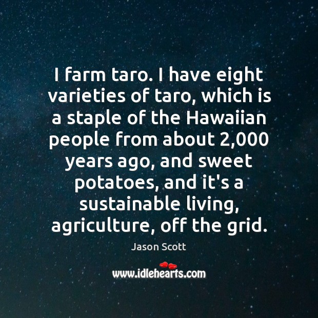 I farm taro. I have eight varieties of taro, which is a Image