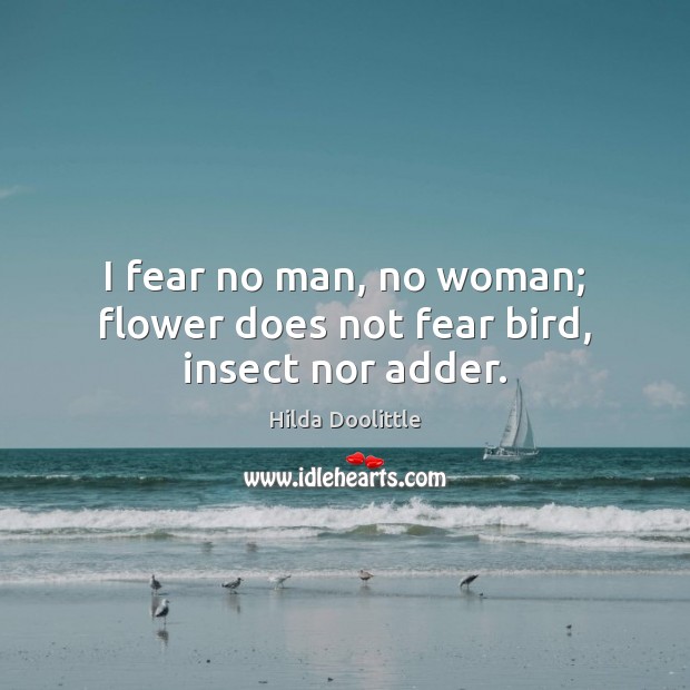 I fear no man, no woman; flower does not fear bird, insect nor adder. Hilda Doolittle Picture Quote