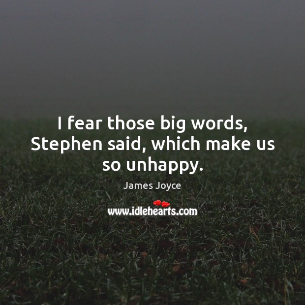 I fear those big words, Stephen said, which make us so unhappy. Image