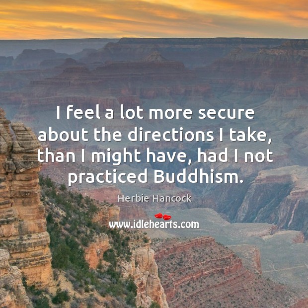 I feel a lot more secure about the directions I take, than I might have, had I not practiced buddhism. Image
