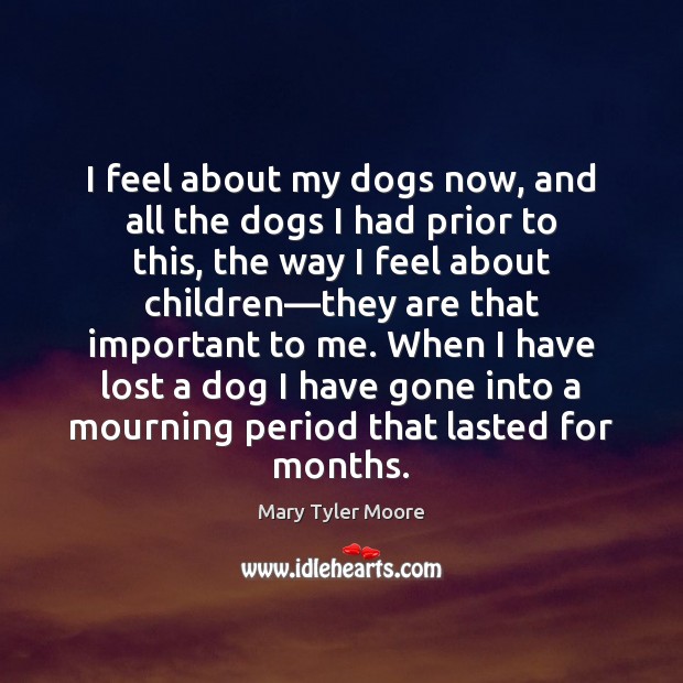 I feel about my dogs now, and all the dogs I had Mary Tyler Moore Picture Quote