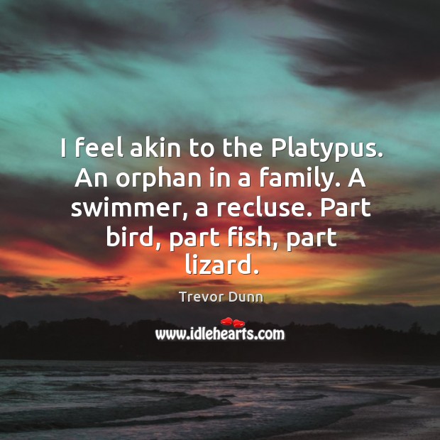 I feel akin to the platypus. An orphan in a family. A swimmer, a recluse. Part bird, part fish, part lizard. Image