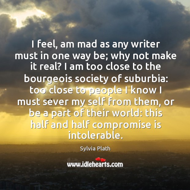 I feel, am mad as any writer must in one way be; Image